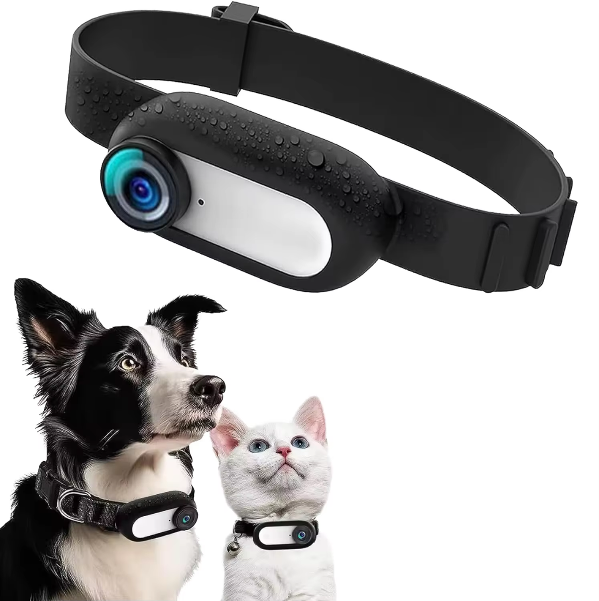 PetVision Mini POV Camera