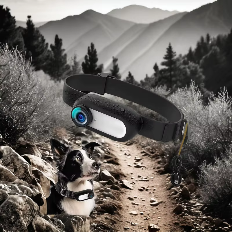 PetVision Mini POV Camera
